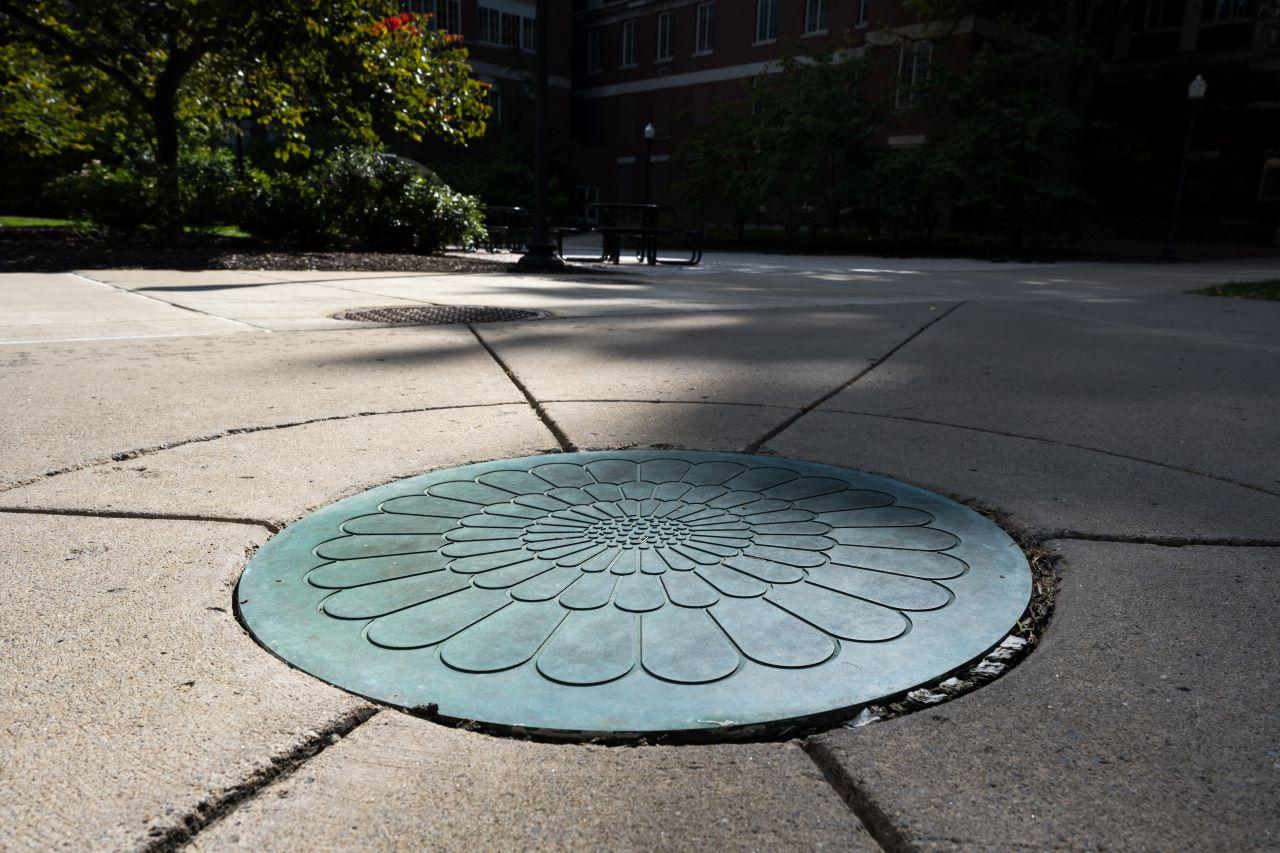 A dandelion decorative ground plate